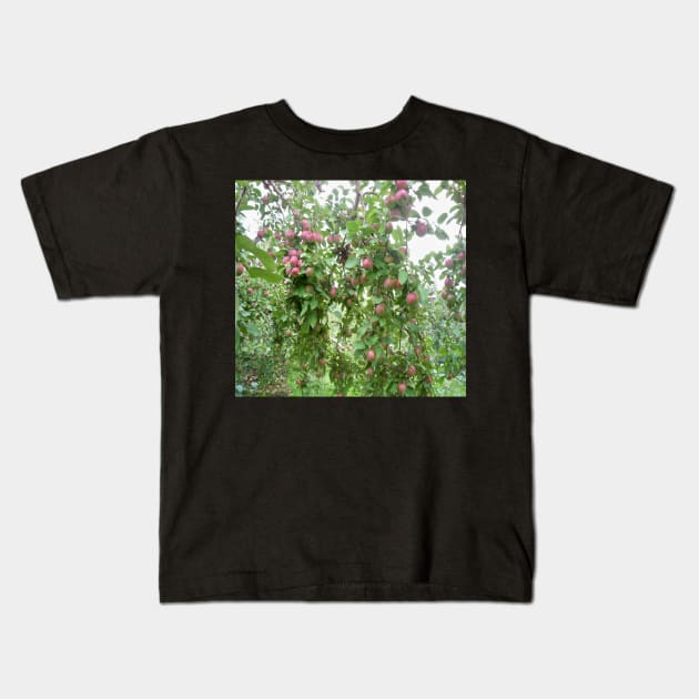 Apple orchard Kids T-Shirt by Jujucreation